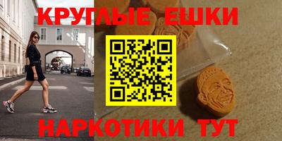 стаф Кингисепп